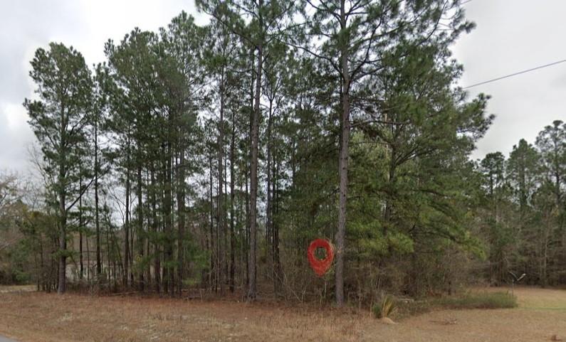 0 Pebble Hills Road Cochran, GA 31014 - Photo 2 of 3