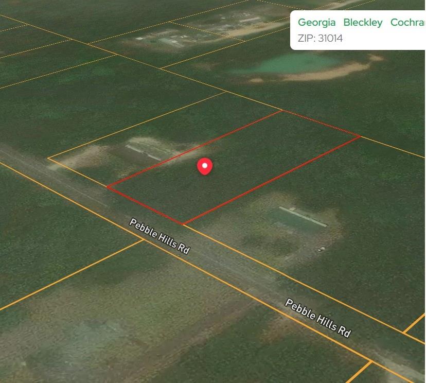 0 Pebble Hills Road Cochran, GA 31014 - Photo 3 of 3