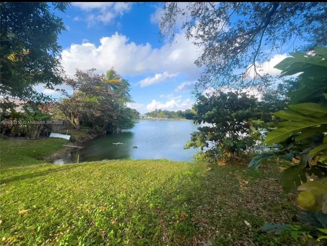 a view of a yard with a tree