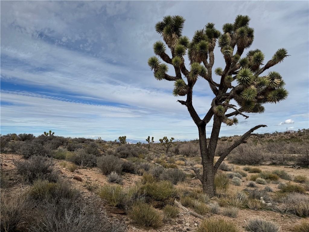 27335 Pear Meadview, AZ 86444 - Photo 11 of 13 Beautiful location