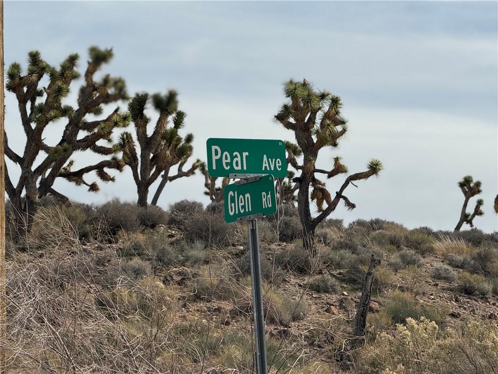 27335 Pear Meadview, AZ 86444 - Photo 3 of 13 The lots are few hundred feet from maintained roads