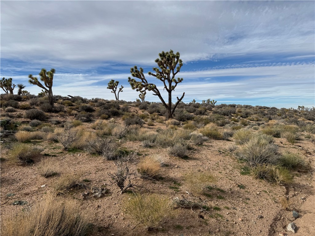 27335 Pear Meadview, AZ 86444 - Photo 6 of 13 View from lots