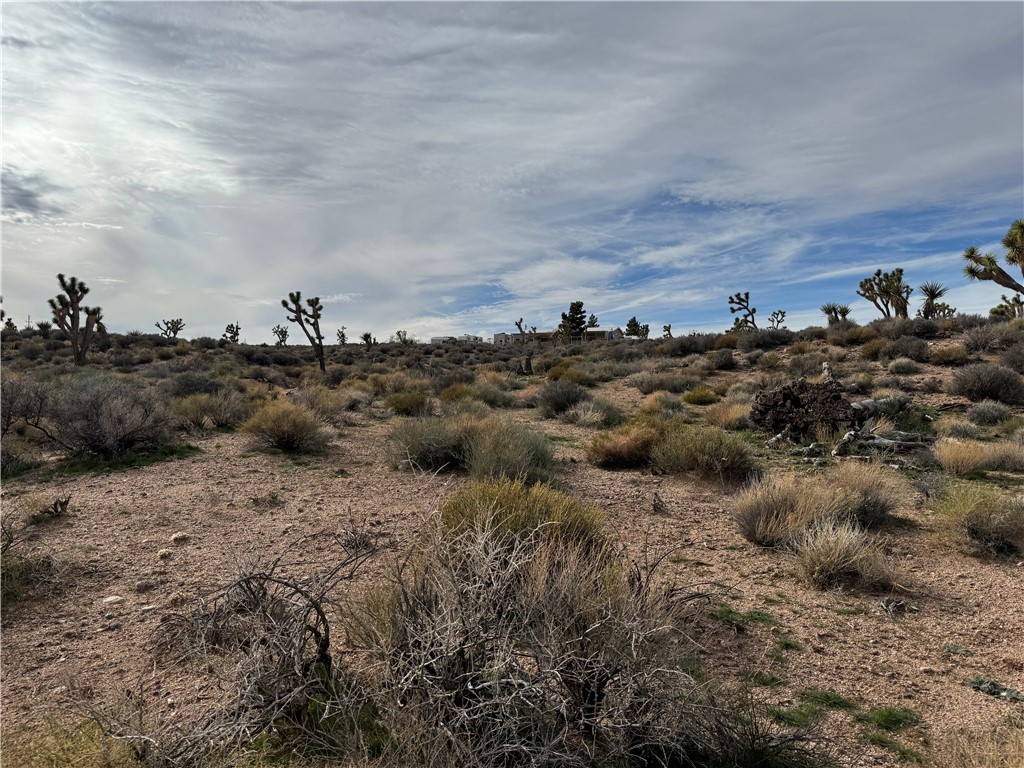 27335 Pear Meadview, AZ 86444 - Photo 7 of 13 View from lots