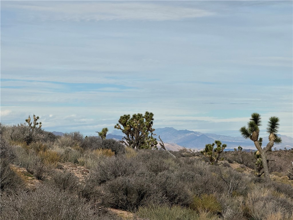 27335 Pear Meadview, AZ 86444 - Photo 10 of 13 Peace and tranquility are calling