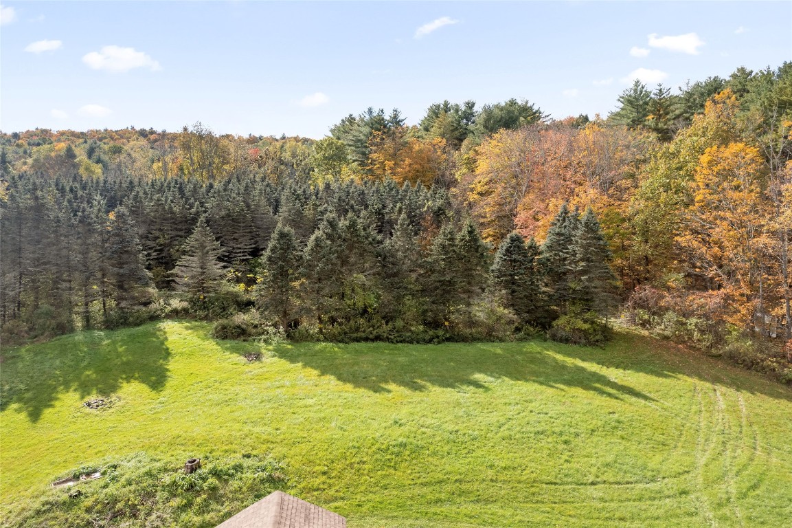 587 Halsey Valley Road Barton, NY 13734 - Photo 7 of 29 Gallery Image 7