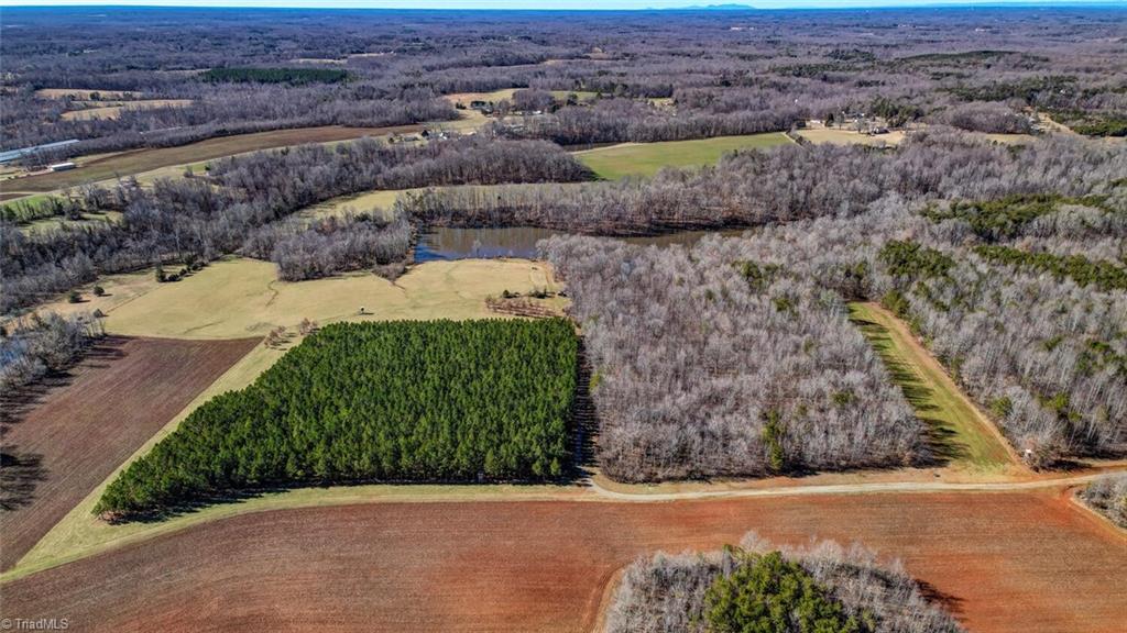 52-acres Butler Lake Road Reidsville, NC 27320 - Photo 3 of 18 Gallery Image 3