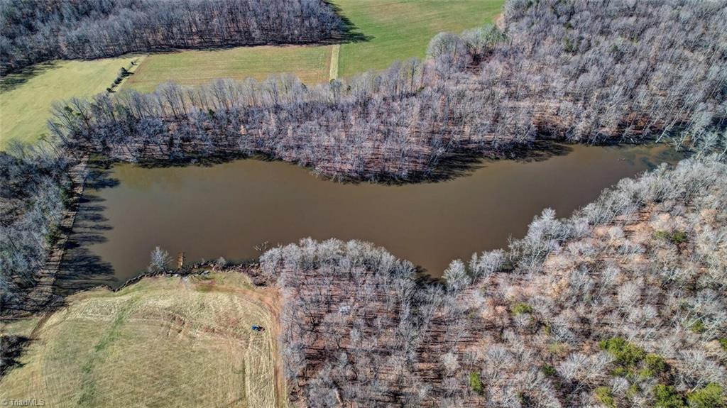 52-acres Butler Lake Road Reidsville, NC 27320 - Photo 7 of 18 Gallery Image 7