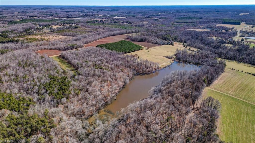 52-acres Butler Lake Road Reidsville, NC 27320 - Photo 8 of 18 Gallery Image 8
