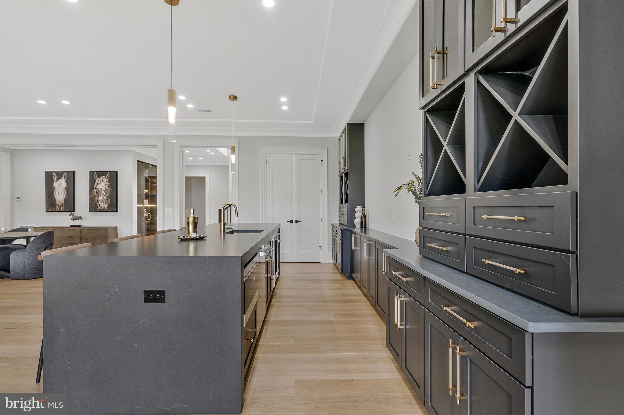1101 Clover Drive McLean, VA 22101 - Photo 50 of 54 Lower Level Wet Bar