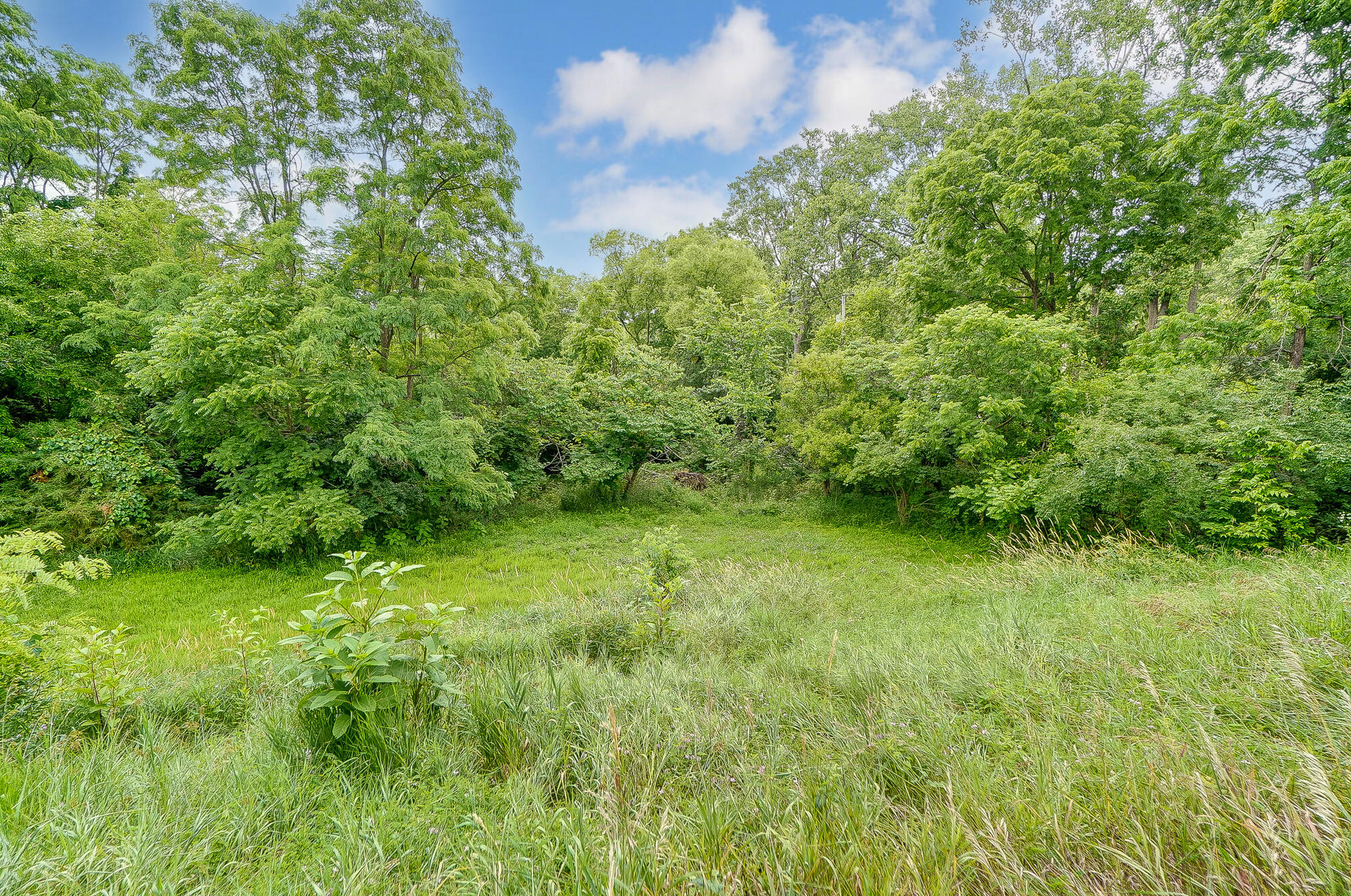 2900 Fox Hollow Road Springfield, OH 45504 - Photo 61 of 65