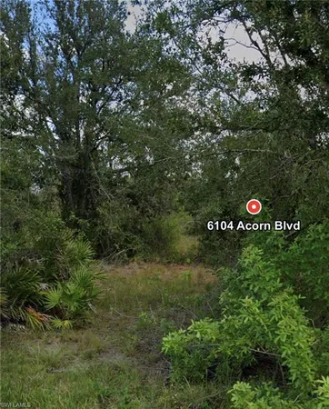 a view of a tree in a yard