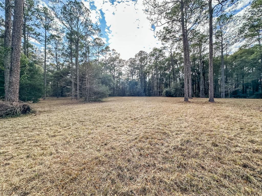 347 North Martin Street Geneva, AL 36340 - Photo 34 of 42