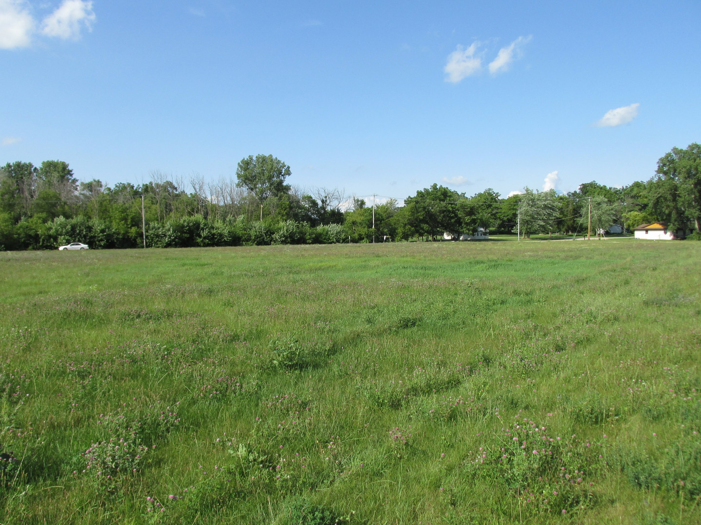 0 Lee Center Road Amboy, IL 61310 - Photo 13 of 18 a view of field with trees in the background