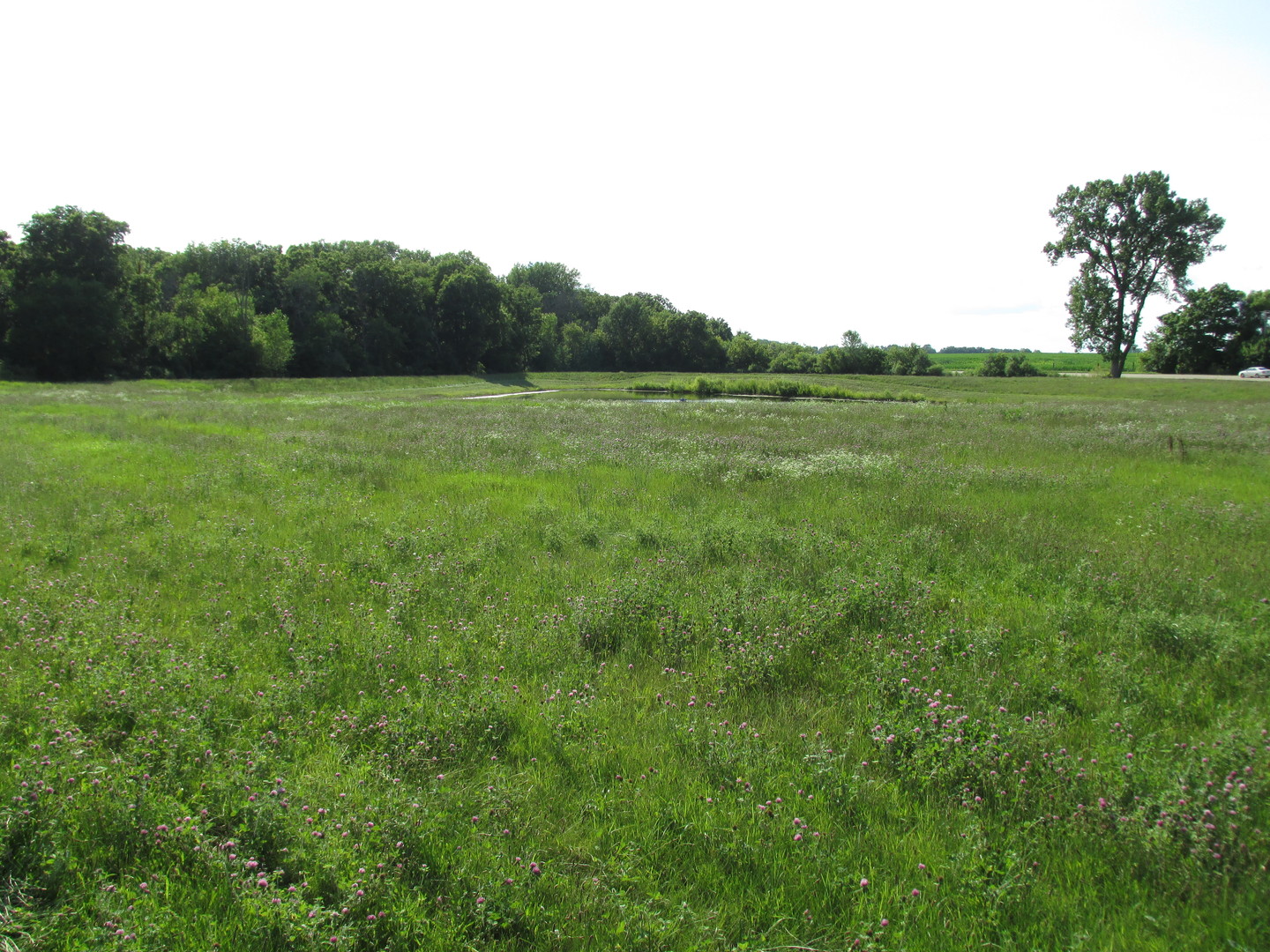 0 Lee Center Road Amboy, IL 61310 - Photo 14 of 18 a view of a green field with wooden fence