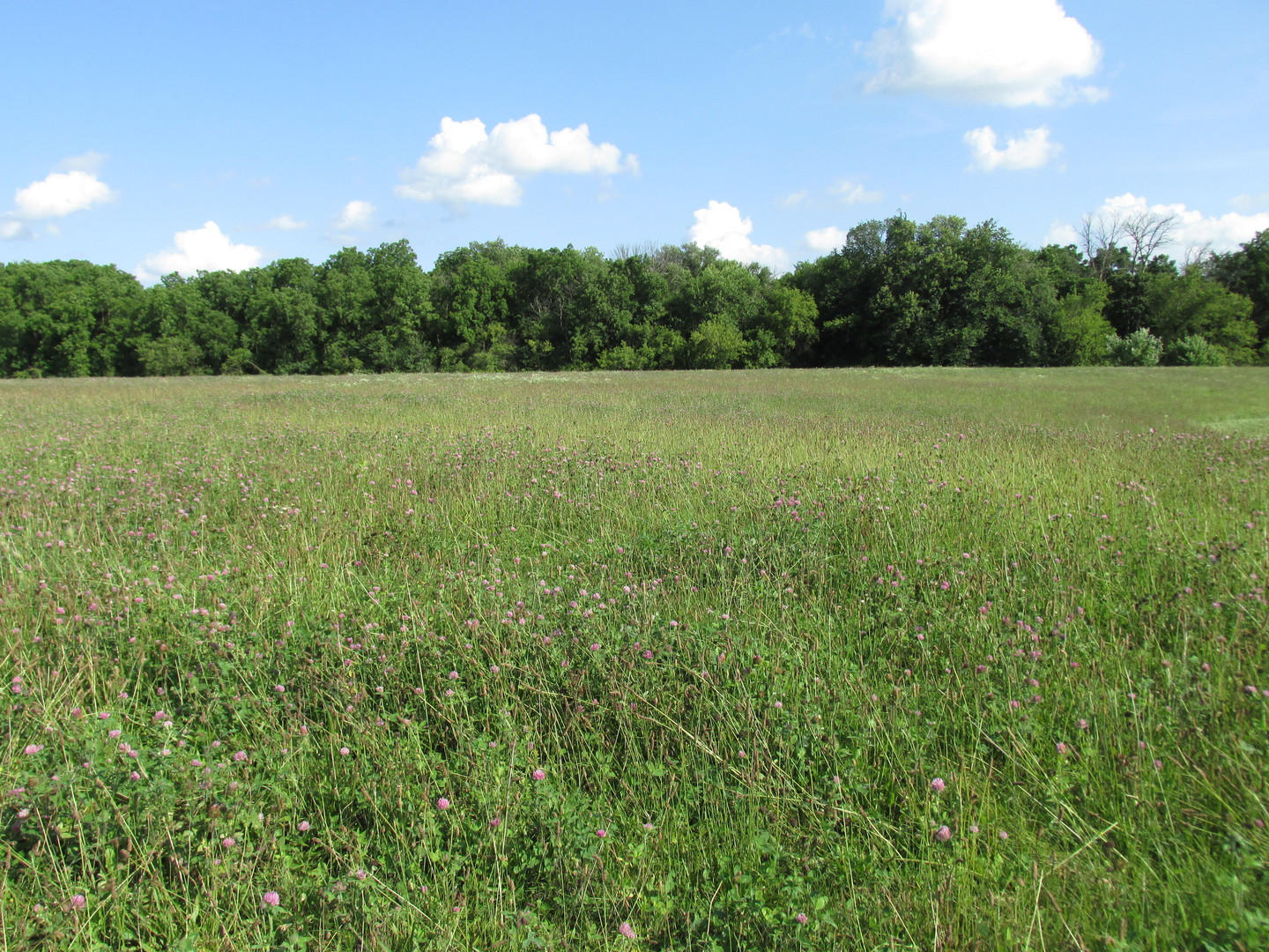 0 Lee Center Road Amboy, IL 61310 - Photo 3 of 18 a view of a field with an outdoor space