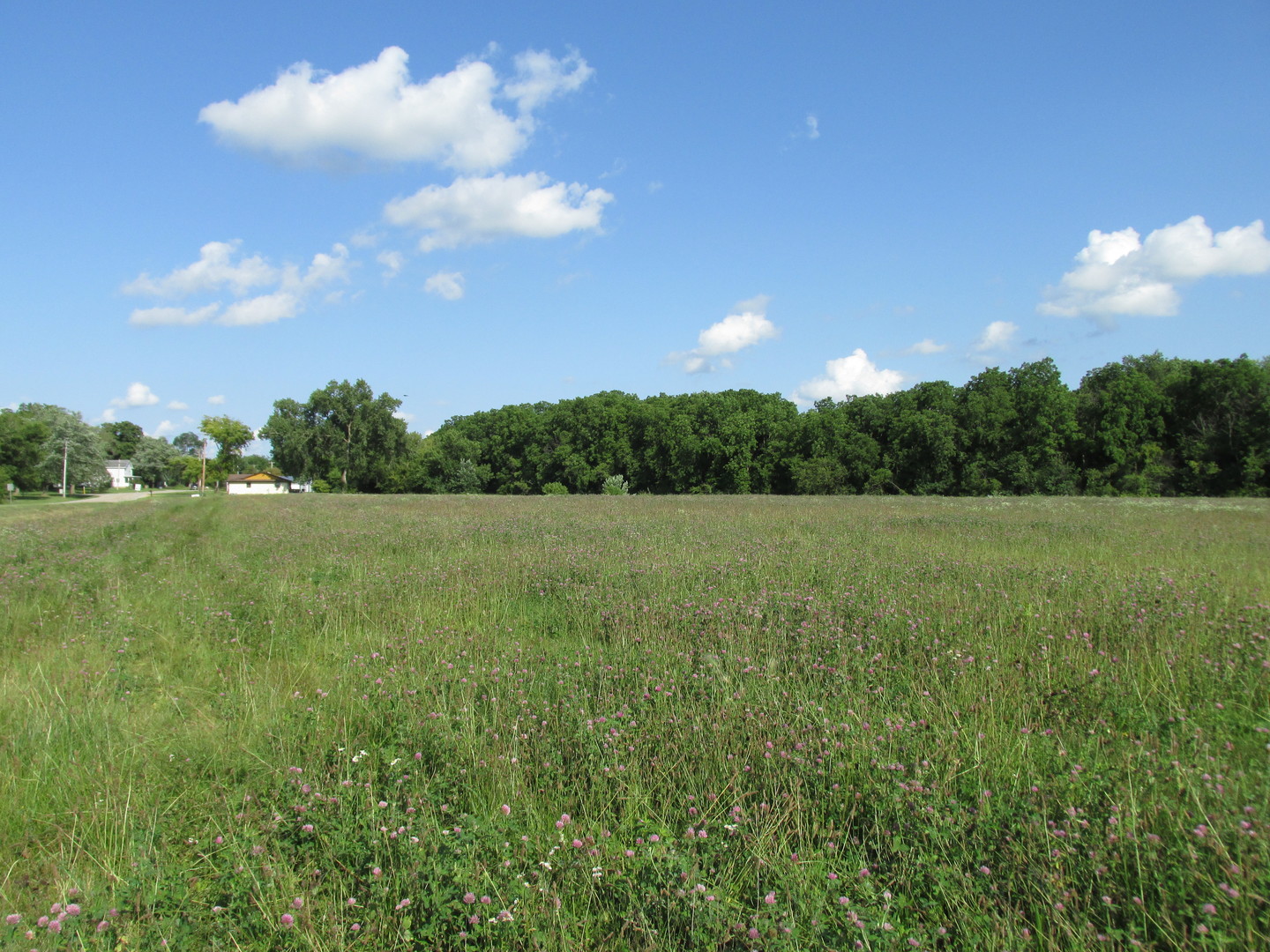 0 Lee Center Road Amboy, IL 61310 - Photo 4 of 18 a view of a garden