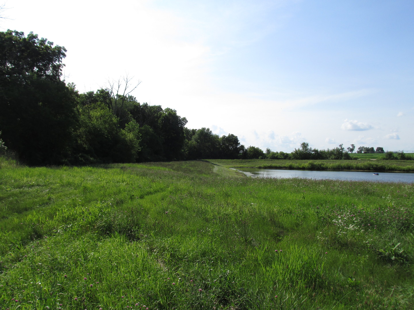 0 Lee Center Road Amboy, IL 61310 - Photo 5 of 18 a view of a garden with a lake