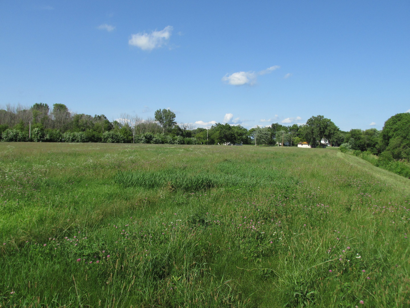 0 Lee Center Road Amboy, IL 61310 - Photo 6 of 18 a view of a big yard with potted plants and mountain view