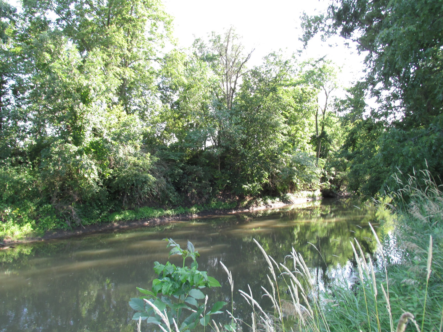 0 Lee Center Road Amboy, IL 61310 - Photo 7 of 18 a view of lake with green space
