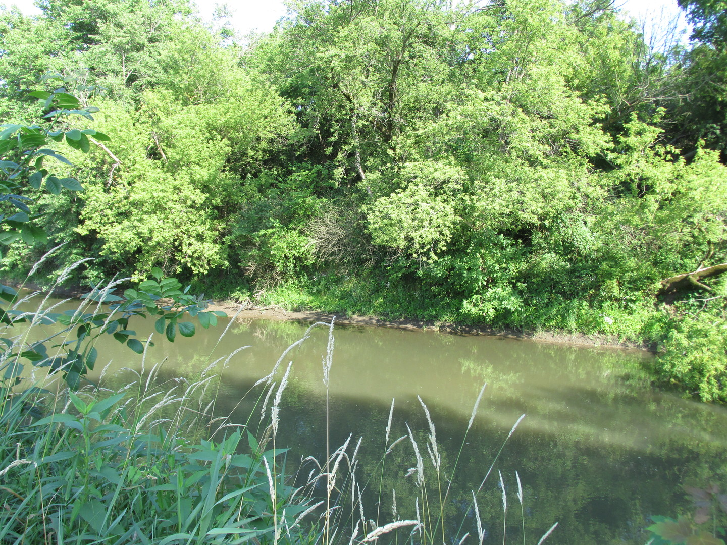 0 Lee Center Road Amboy, IL 61310 - Photo 9 of 18 a view of a lake with a yard