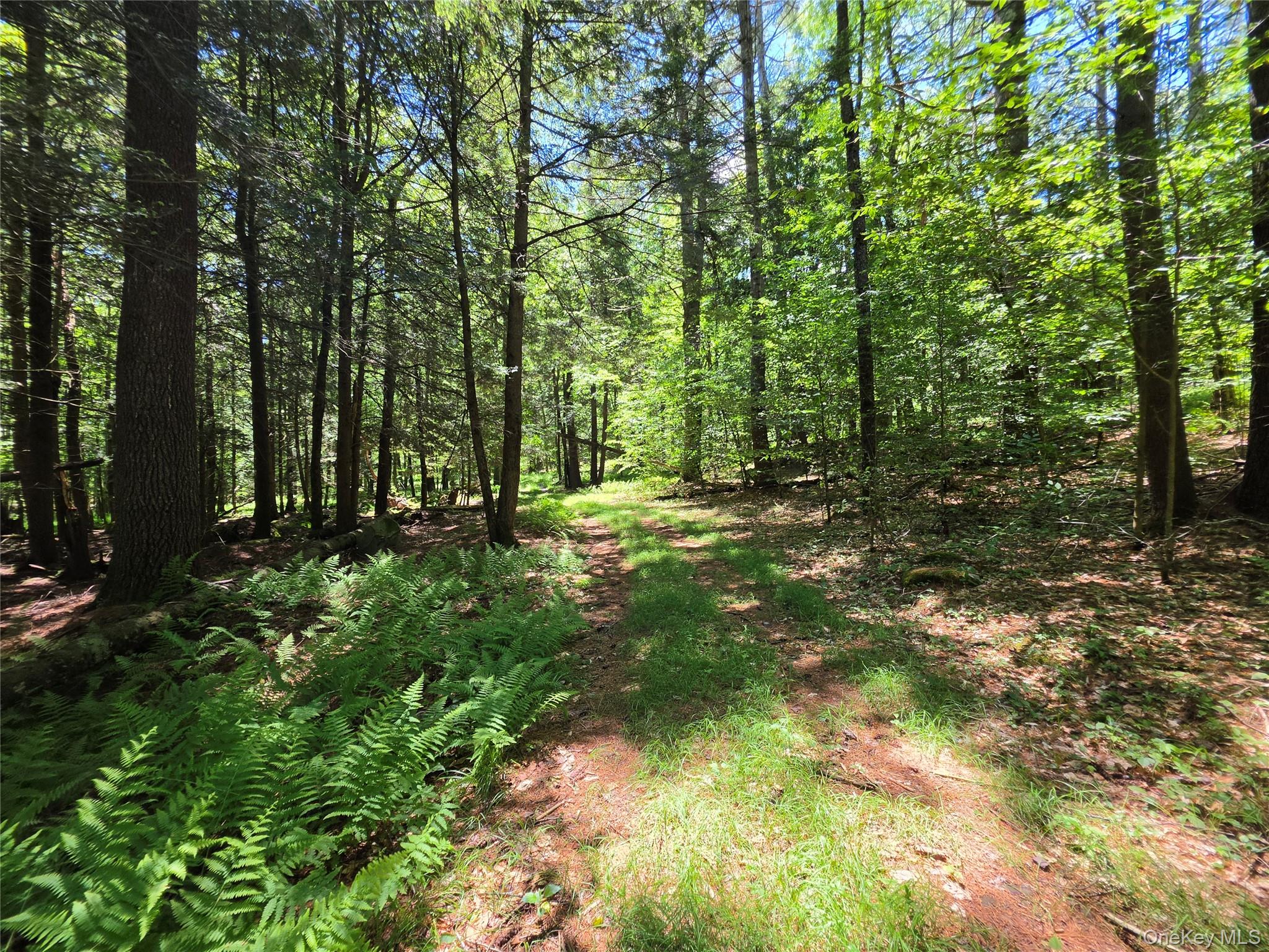 Tbd Camp Kennybrook Road Monticello, NY 12701 - Photo 9 of 34