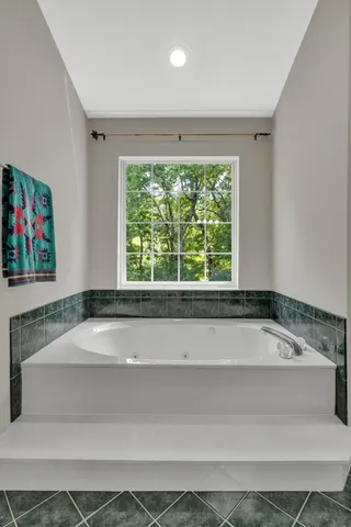 a view of a forest with a street