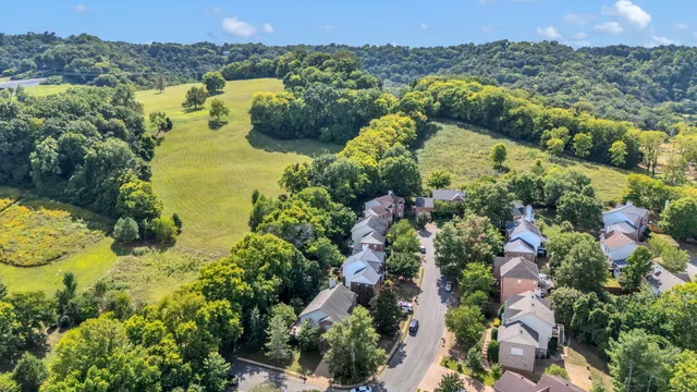 a view of a field with large trees