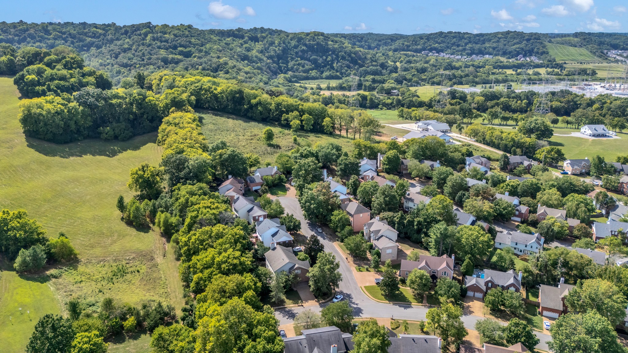 8169 Londonberry Road Nashville, TN 37221 - Photo 72 of 82 a view of a forest with a street