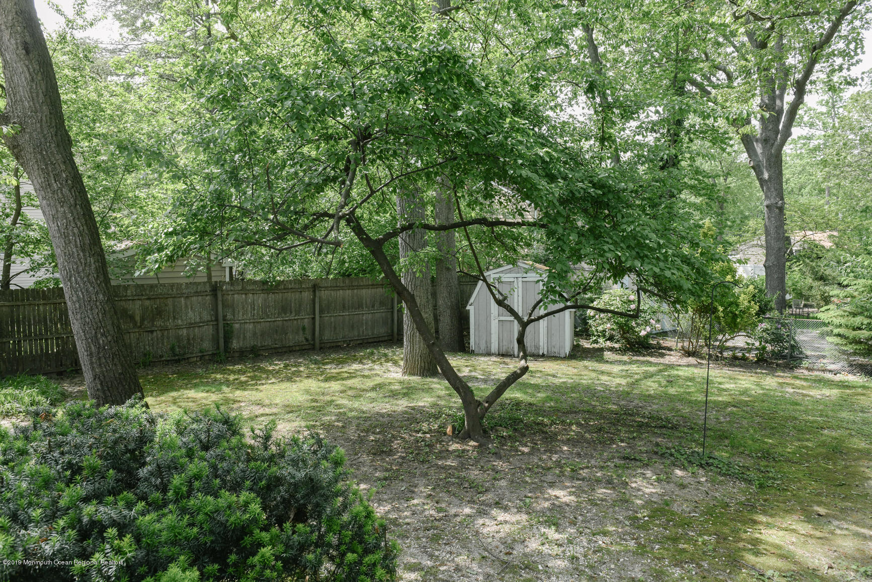SP1_9081