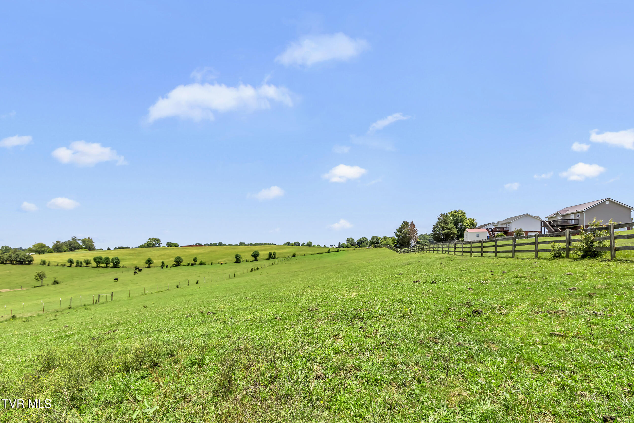 114 Miller Street Limestone, TN 37681 - Photo 20 of 25 24_img_7636