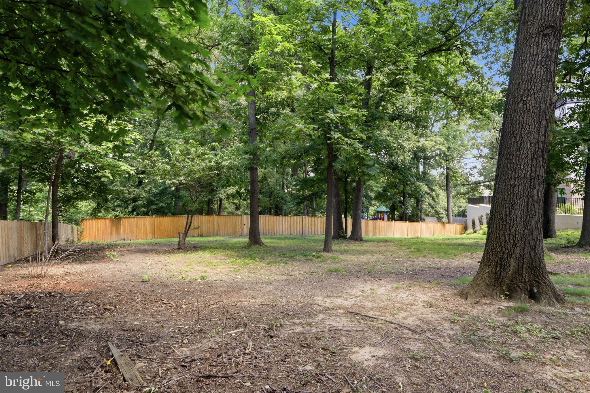 2110 Tysons Ridgeline Road Falls Church, VA 22043 - Photo 42 of 53 Wooded preserve next to home