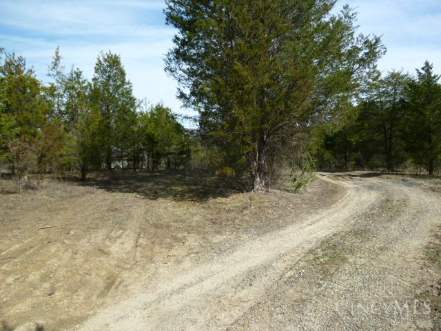 0 State Rte 41 West Union, OH 45693 - Photo 50 of 65 Bear left at this path and follow to the property. The camper on the left is inside the nearest property line.