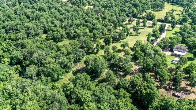a view of a lush green forest