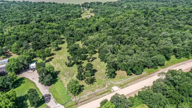 an outdoor view of a garden