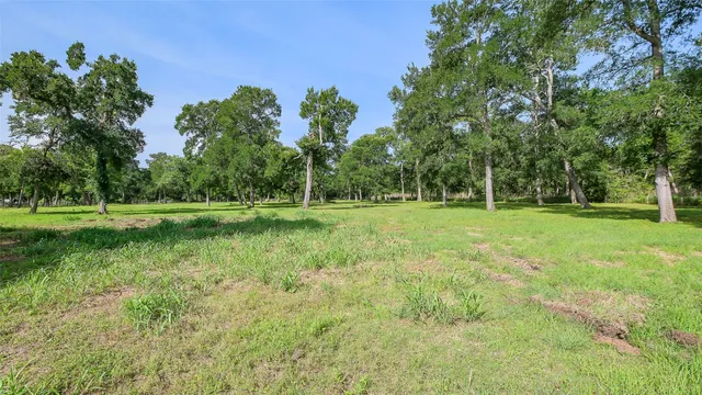 a view of a park with large trees