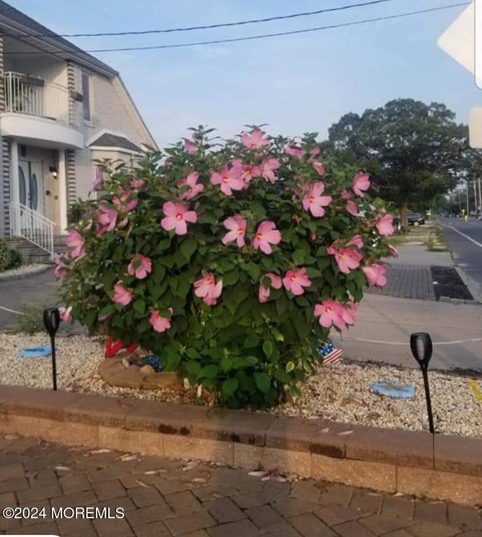 334 Bayview Avenue Ocean Gate, NJ 08740 - Photo 5 of 69