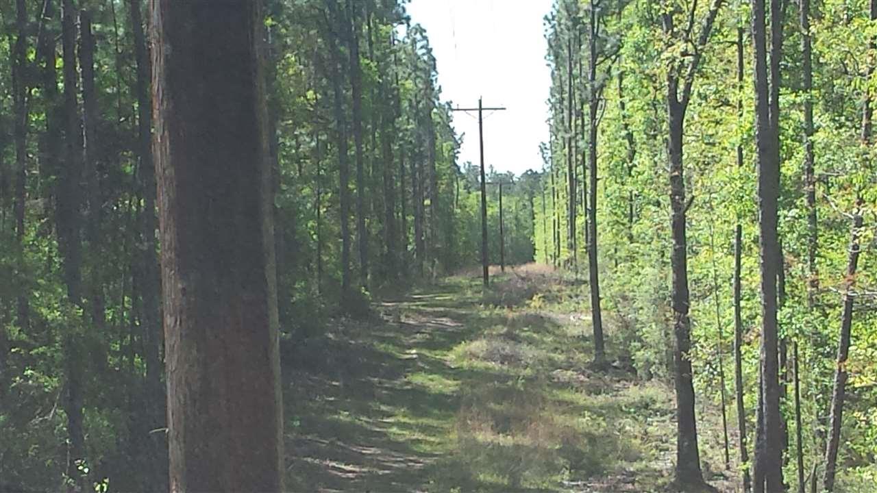 2300 Breastworks Road Century, FL 32535 - Photo 2 of 4