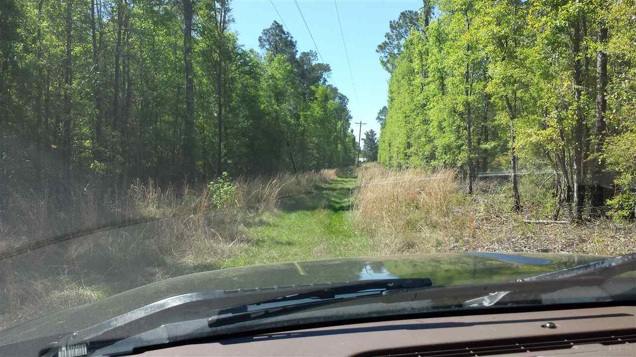2300 Breastworks Road Century, FL 32535 - Photo 3 of 4