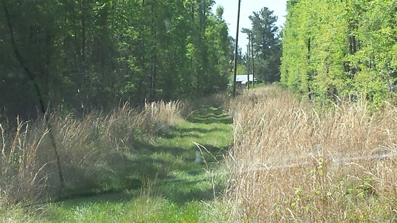 2300 Breastworks Road Century, FL 32535 - Photo 4 of 4