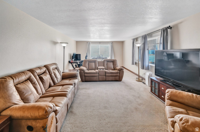 10 North Main Street Centerfield, UT 84622 - Photo 5 of 52 Living room with a textured ceiling, healthy amount of natural light, and carpet