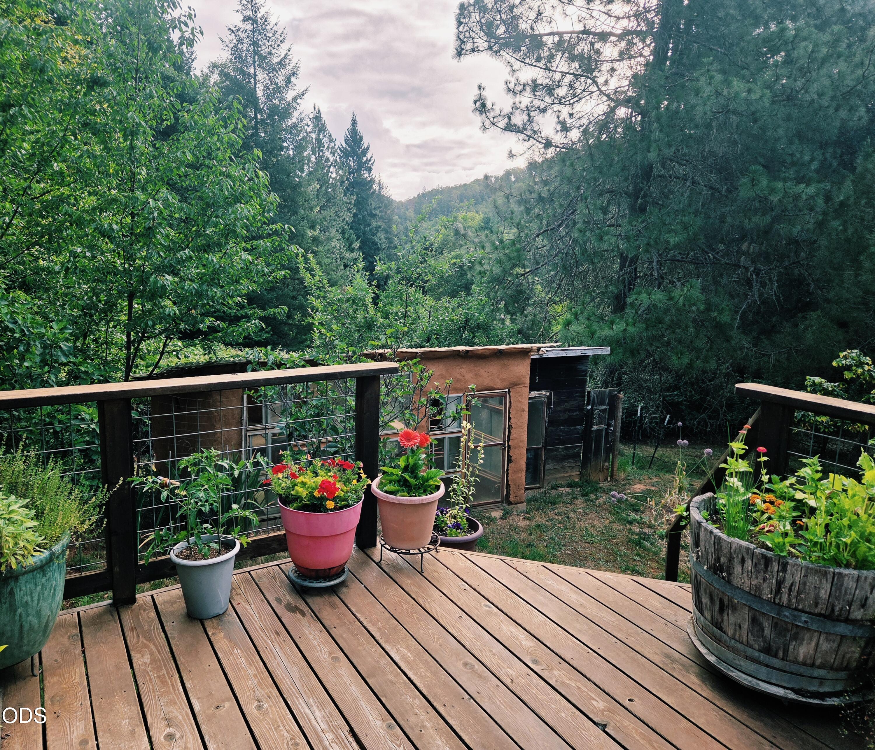 181 Brimstone Road Wolf Creek, OR 97497 - Photo 14 of 75