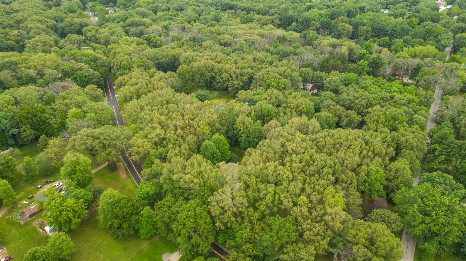 5964 West Schultz Road La Porte, IN 46350 - Photo 53 of 53 a view of a lush green forest with lots of trees
