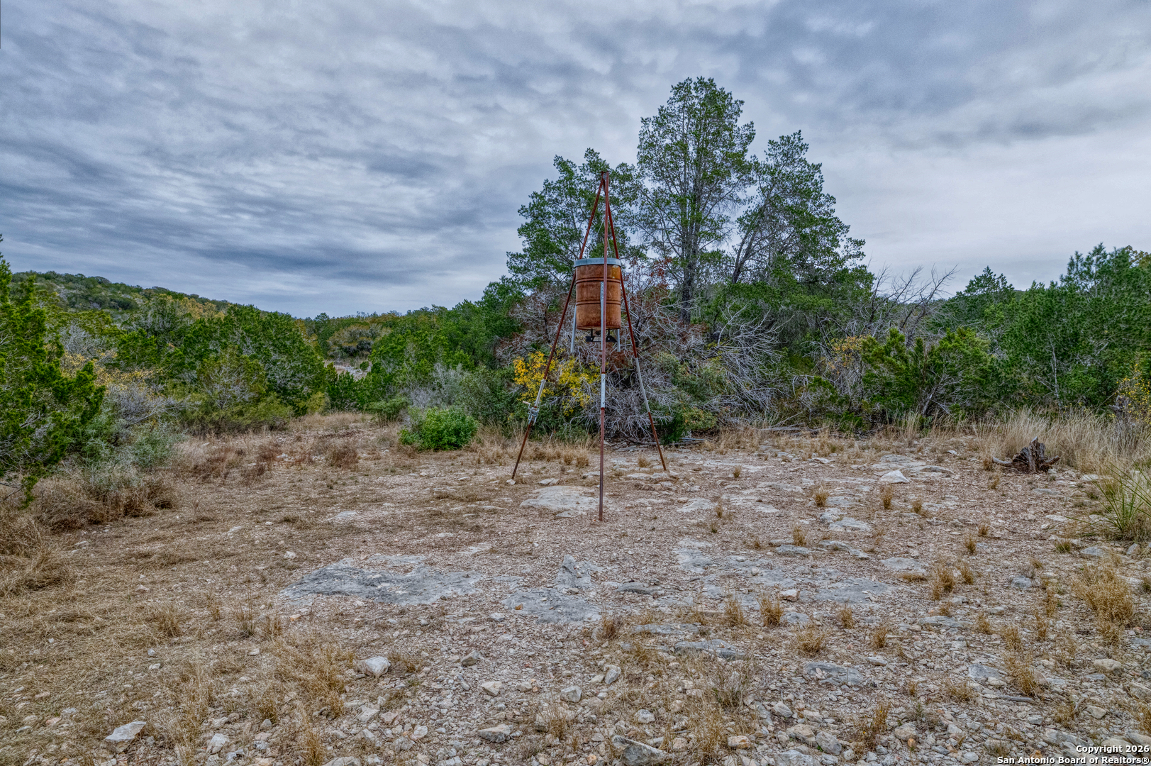 25 Sd 65065 Dusty Rose Ranch Rocksprings, TX 78880 - Photo 32 of 66