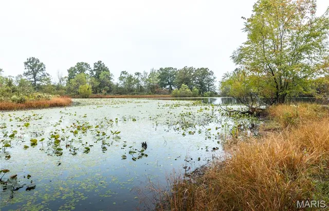 $525,000 | 807 County Road 6410, Salem, MO 65560