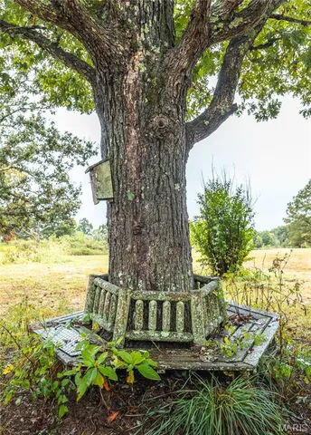 $525,000 | 807 County Road 6410, Salem, MO 65560