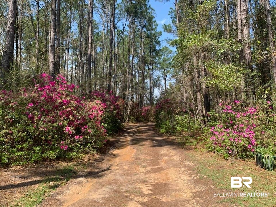 26264 Feely Road Elberta, AL 36530 - Photo 20 of 30 Gallery Image 20