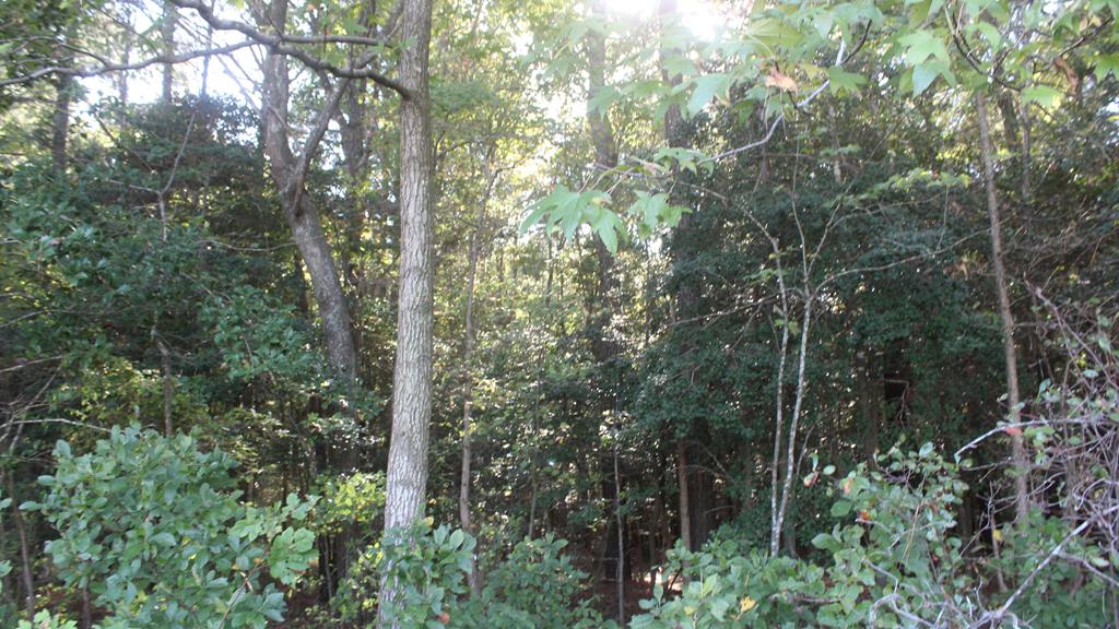 Lot 130 Matthews Road, Unit 130 Parksley, VA 23421 - Photo 11 of 15