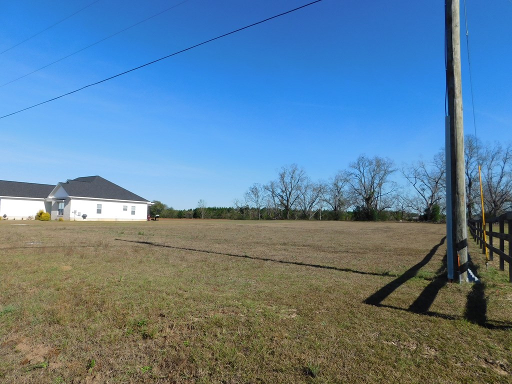 0 Airport Road Slocomb, AL 36375 - Photo 4 of 8