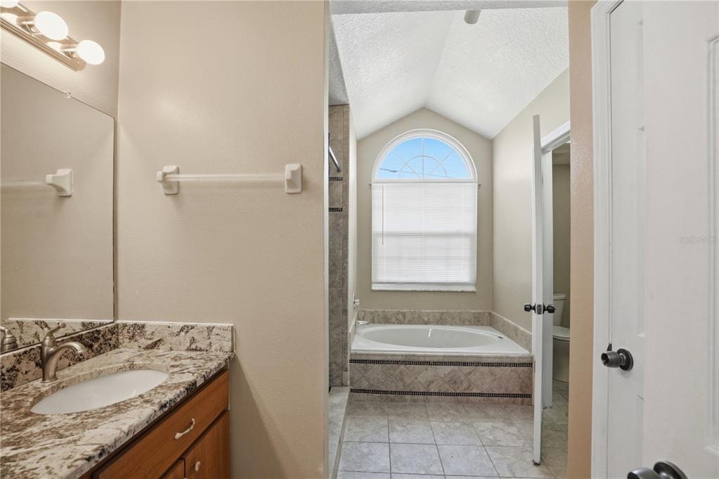 5277 Deltona Boulevard Spring Hill, FL 34606 - Photo 28 of 74 a bathroom with a granite countertop sink a mirror and a bathtub