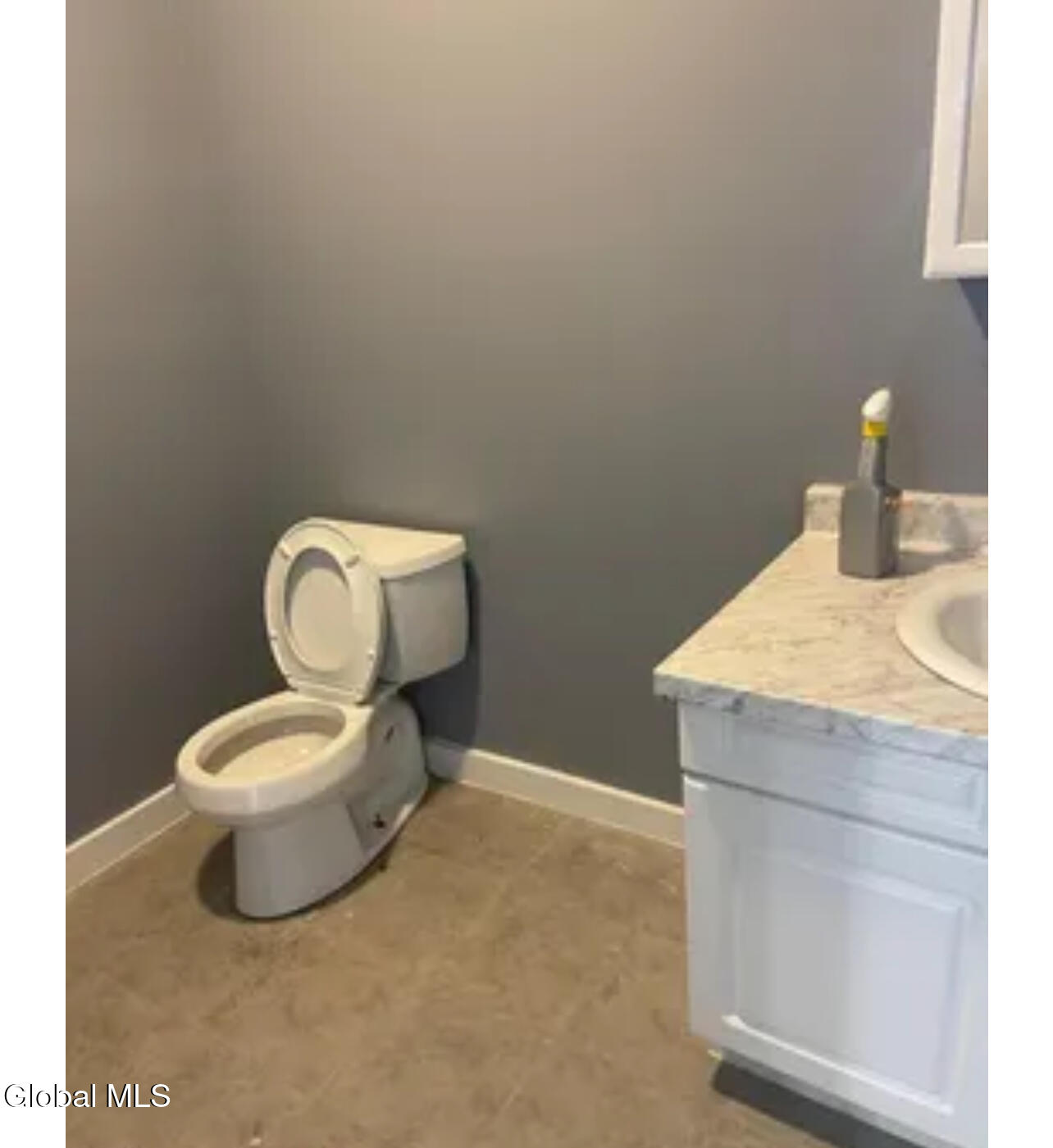 1115 McClyman Street Schenectady, NY 12307 - Photo 22 of 25 IMG_7692